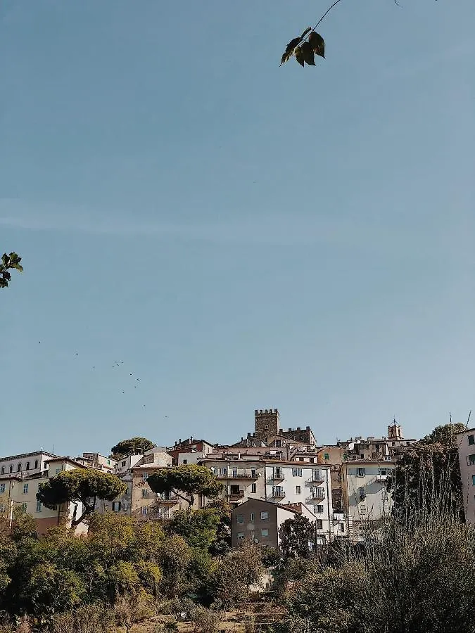 Charming Place With A Fireplace Nearby Saturnia Apartment Manciano 0*,